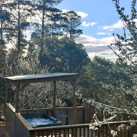Sutton Spring Art Retreats Daire Daylesford Dış mekan fotoğraf