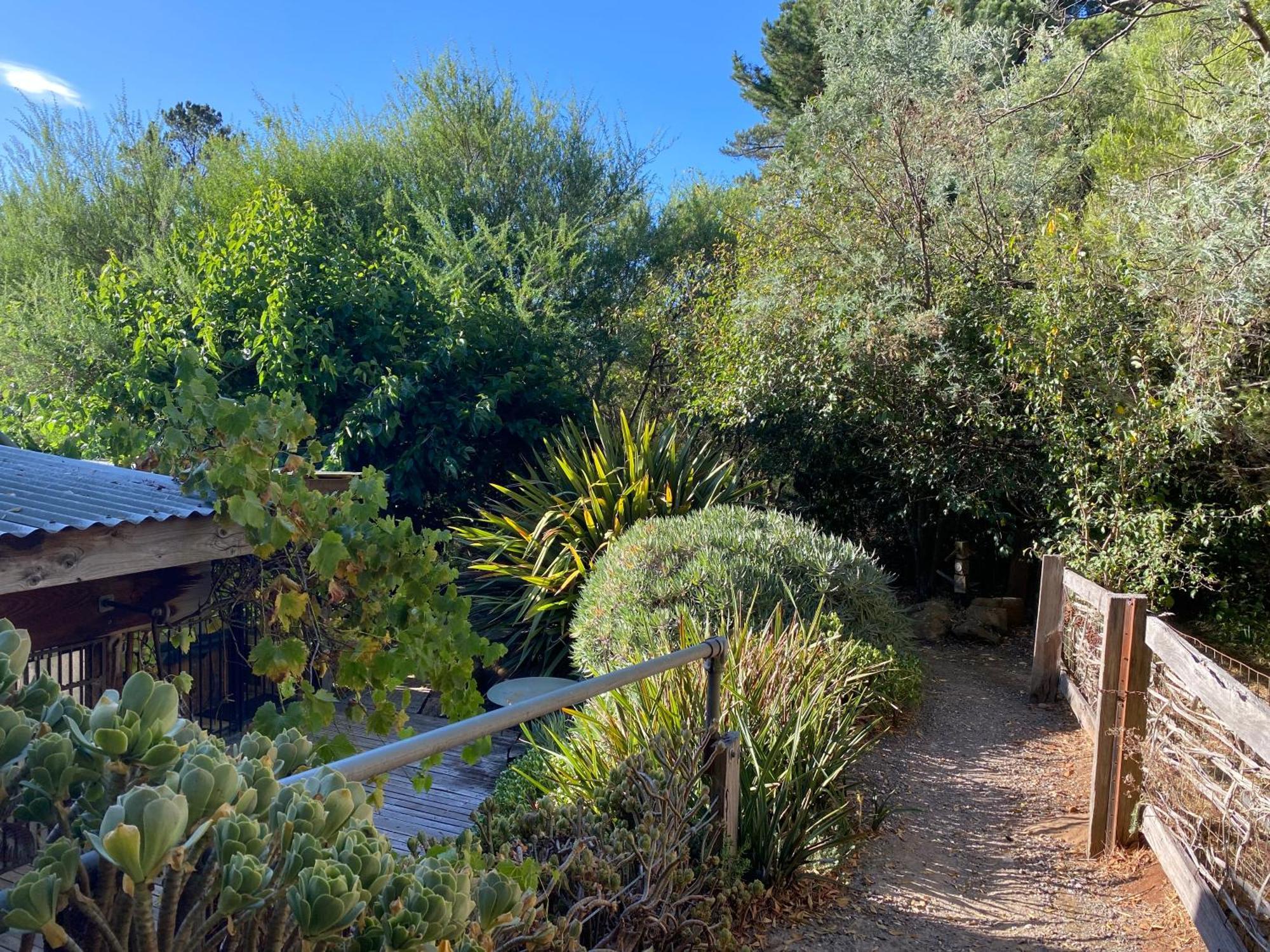 Sutton Spring Art Retreats Daire Daylesford Dış mekan fotoğraf