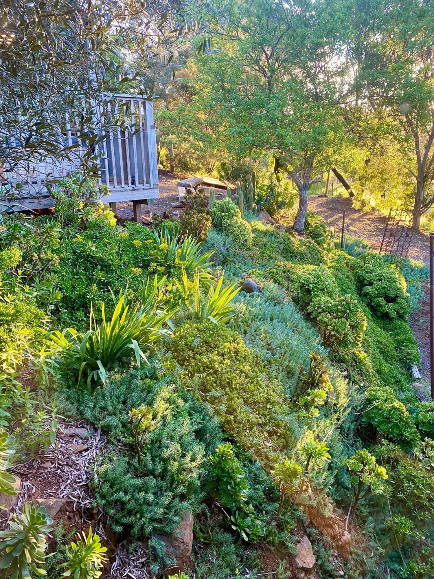 Sutton Spring Art Retreats Daire Daylesford Oda fotoğraf