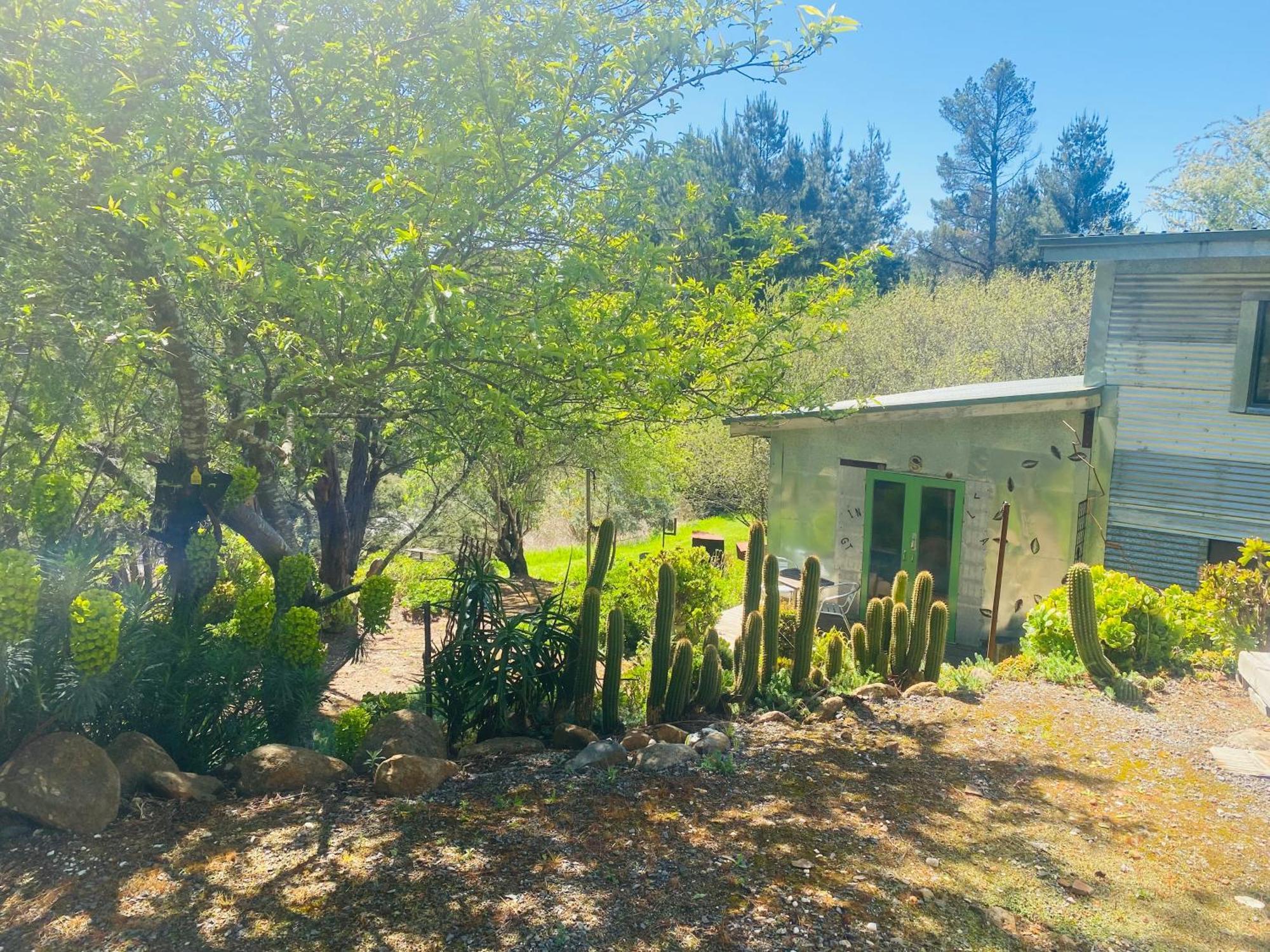 Sutton Spring Art Retreats Daire Daylesford Oda fotoğraf
