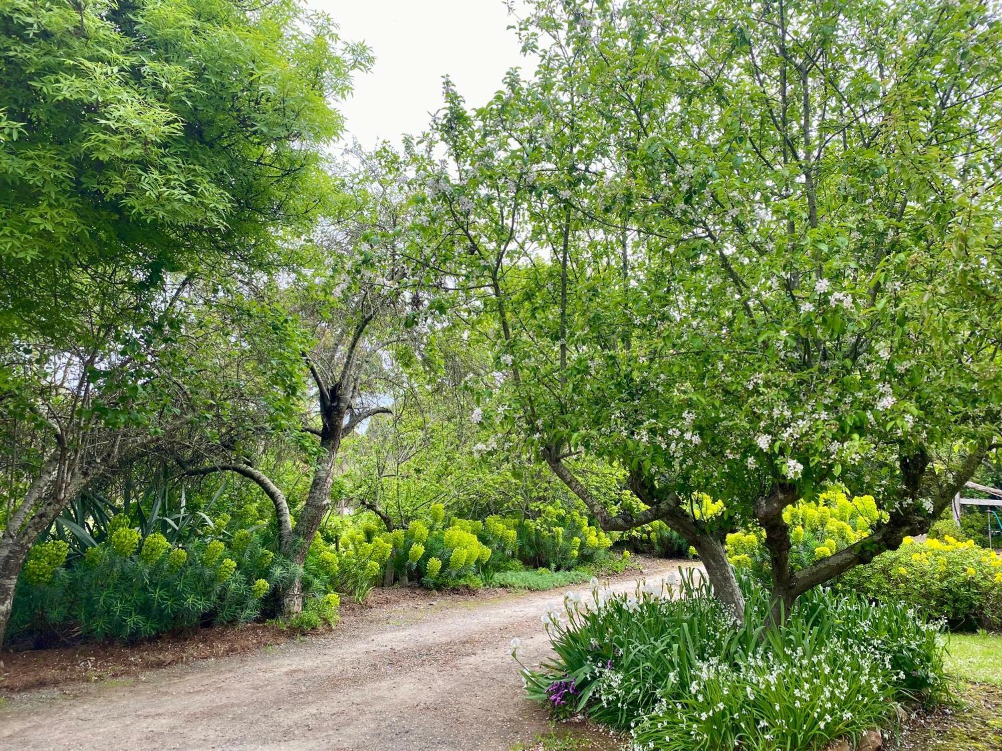 Sutton Spring Art Retreats Daire Daylesford Oda fotoğraf