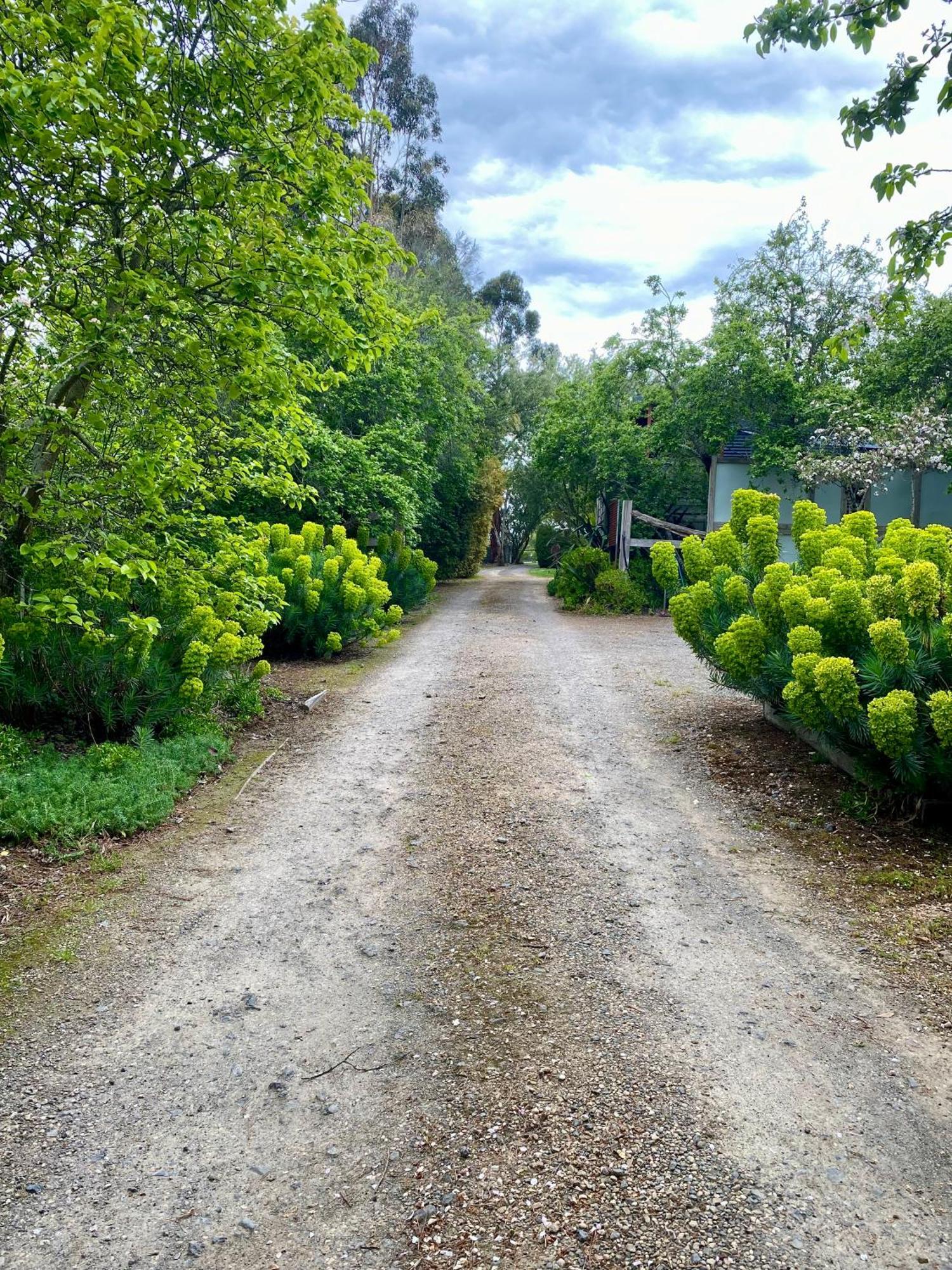 Sutton Spring Art Retreats Daire Daylesford Dış mekan fotoğraf