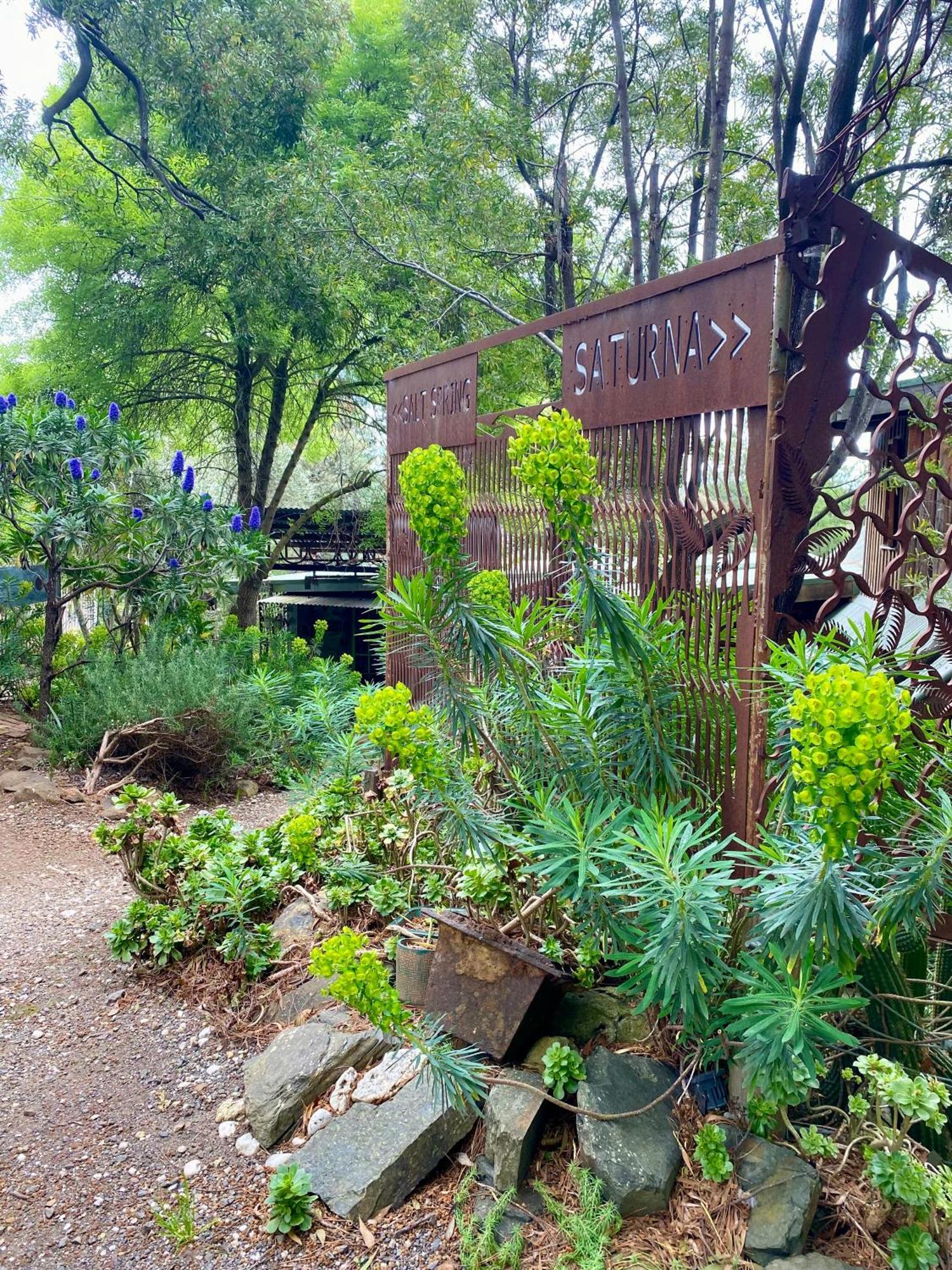Sutton Spring Art Retreats Daire Daylesford Oda fotoğraf