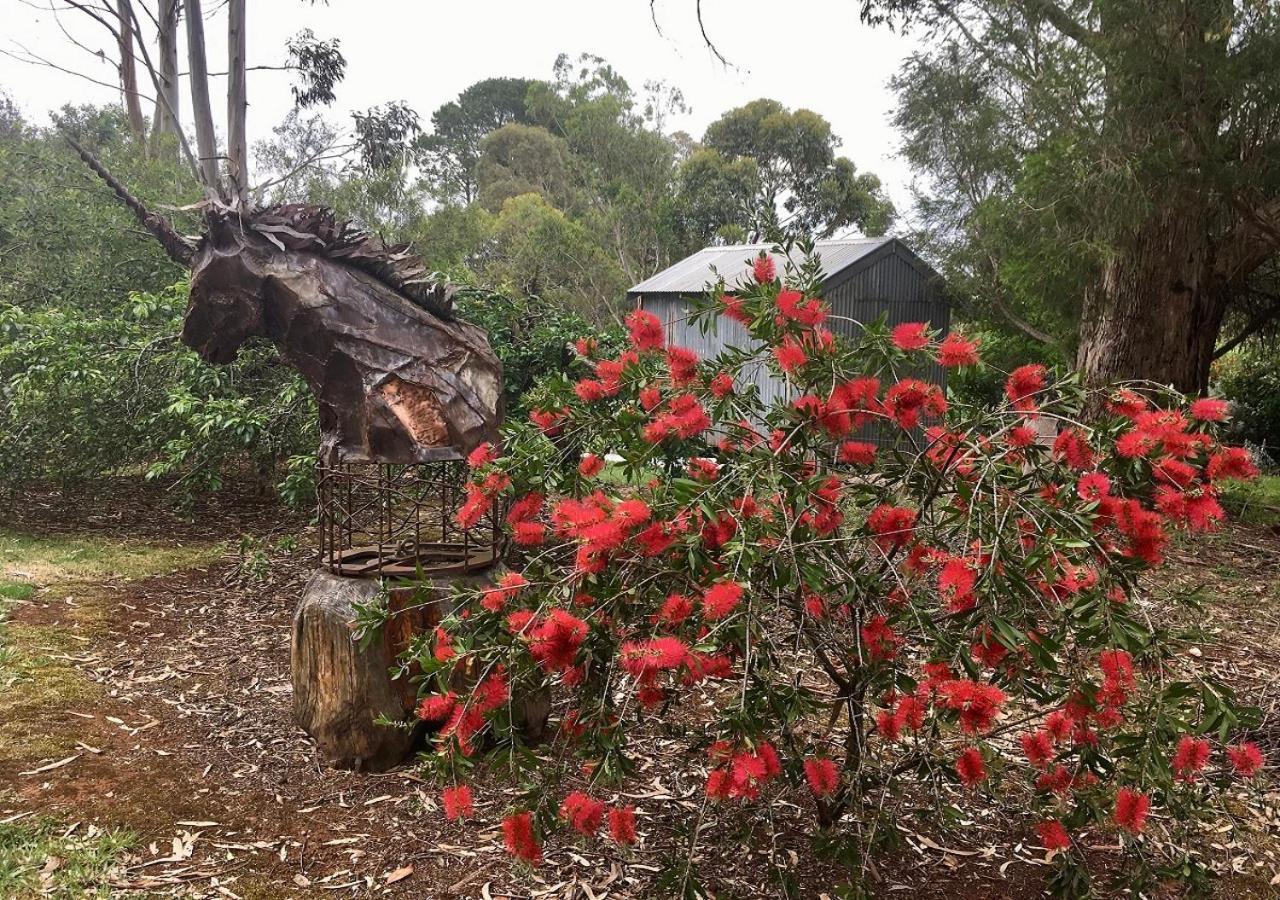 Sutton Spring Art Retreats Daire Daylesford Dış mekan fotoğraf